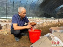 (乡村行·看振兴)浙江临海: